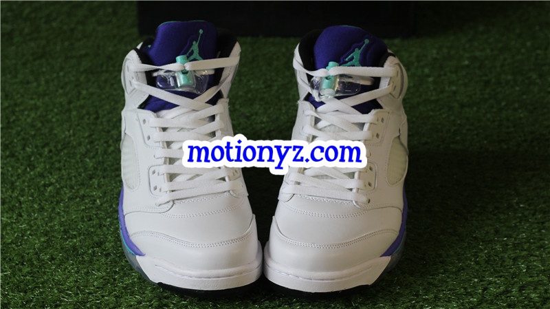 Authentic Air Jordan 5 Retro Grapes